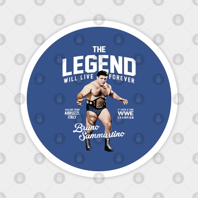 Bruno Sammartino Magnet by lightsdsgn